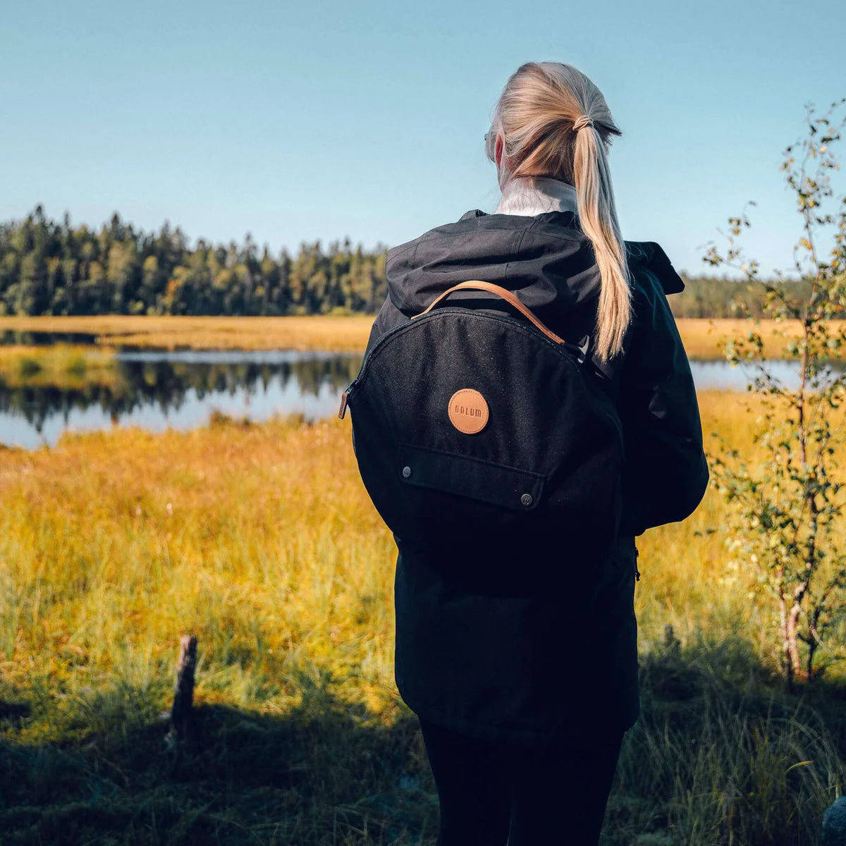 Stekhäll Dalum Jälda carry kit