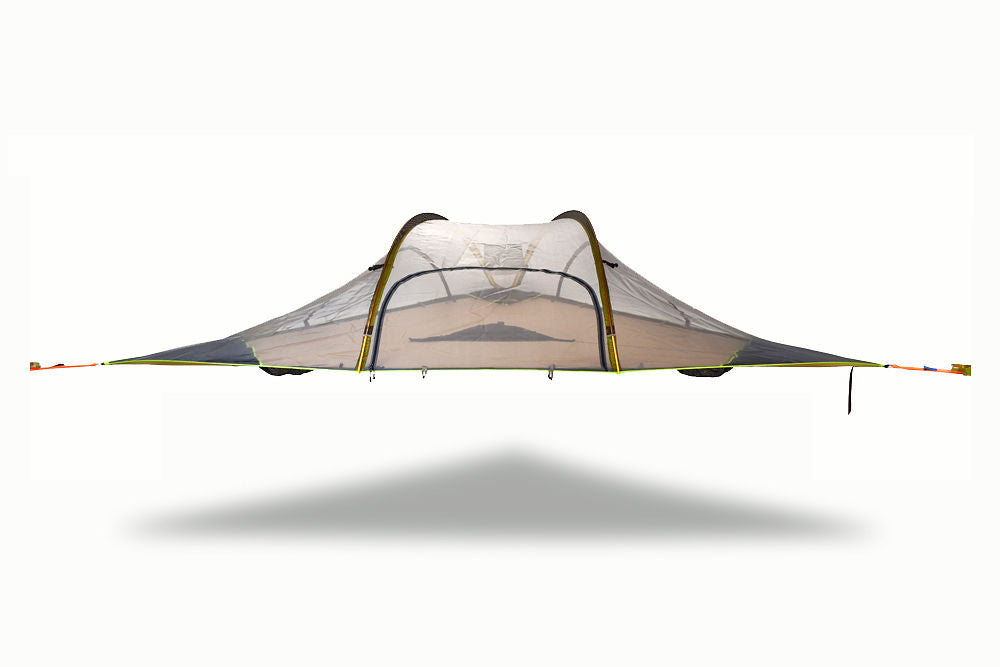 Stingray Safari