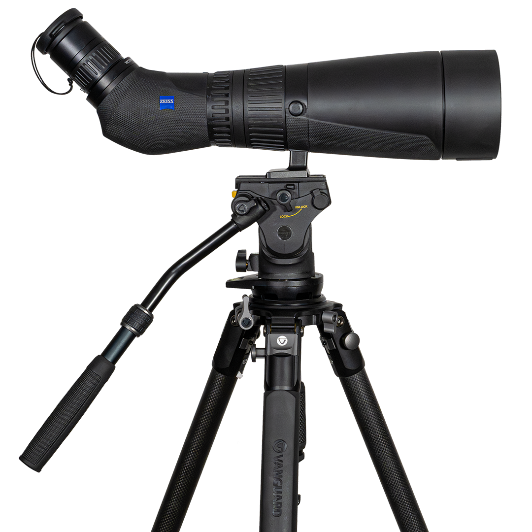 Zeiss Victory Harpia 30-70x95 Tubkikarpaket