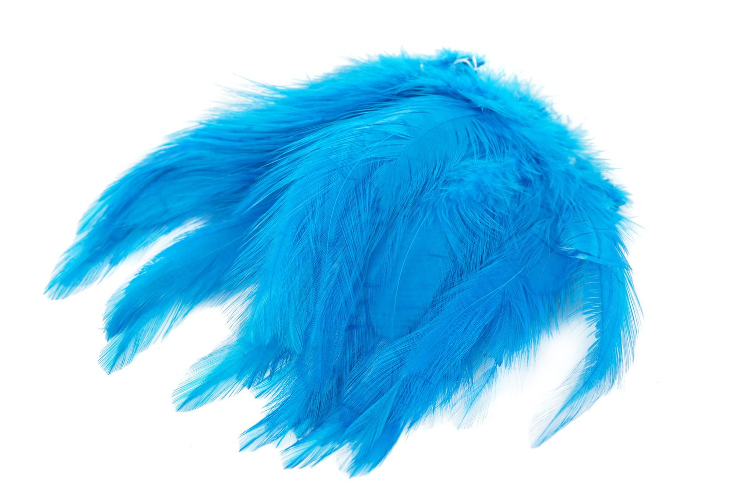 Saltwater Neck Hackle