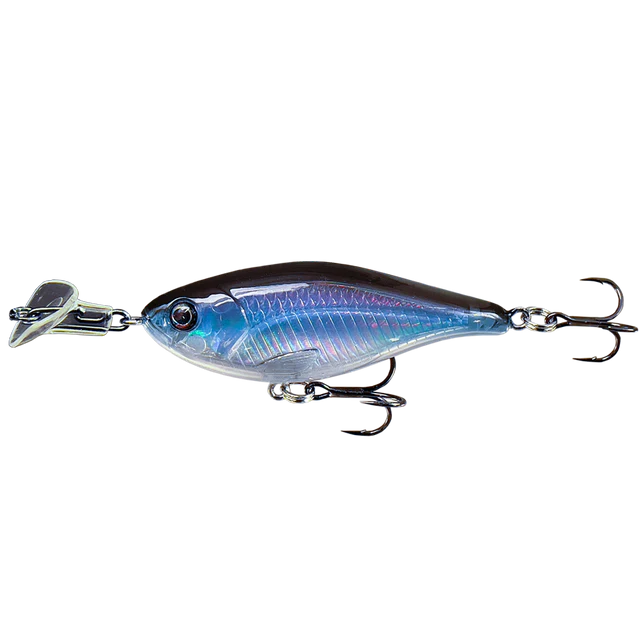 Cranky Shad