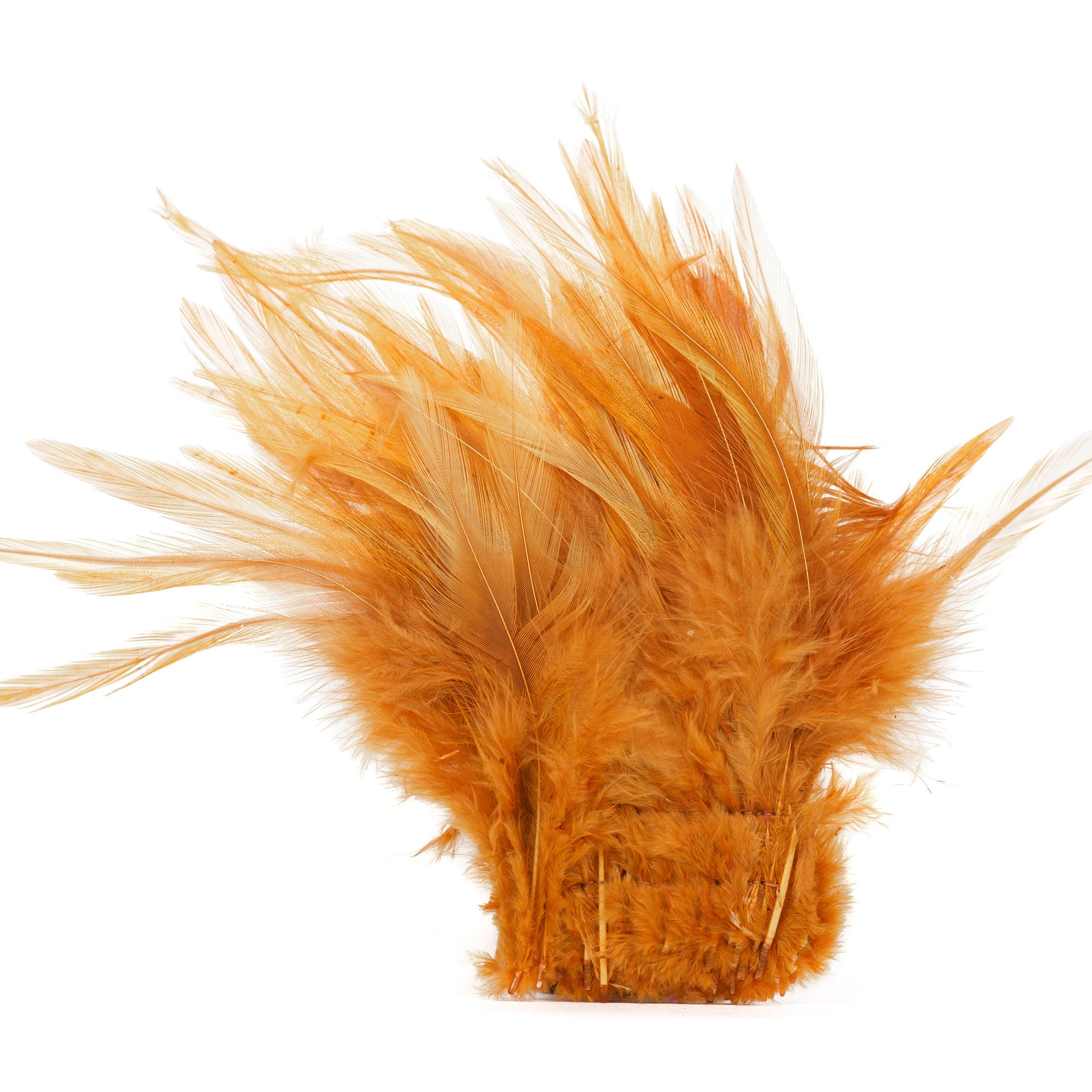 Strung Saddle Hackle