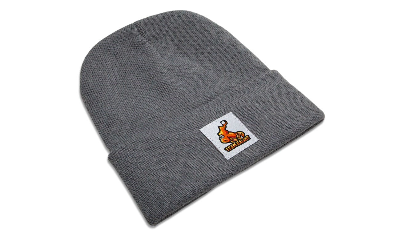 Team Galant Beanie