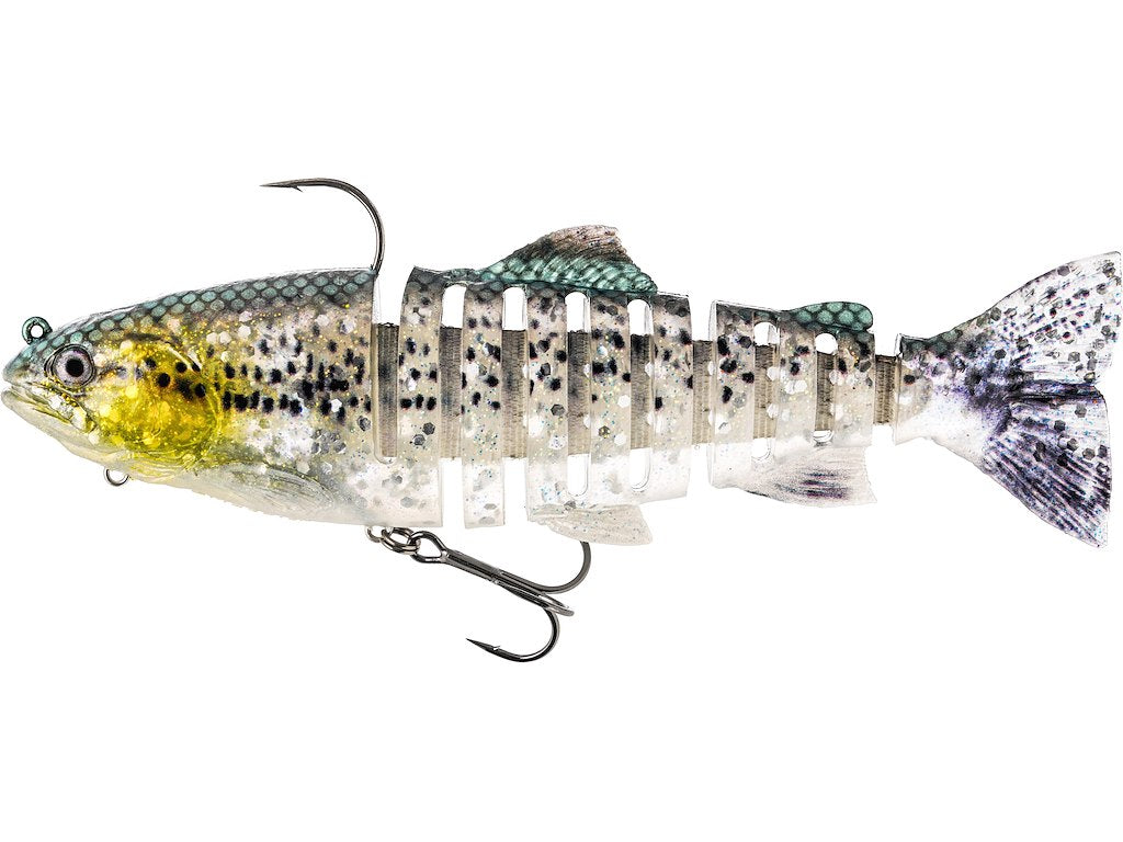 Tommy the Trout - Multi jointed - R2F