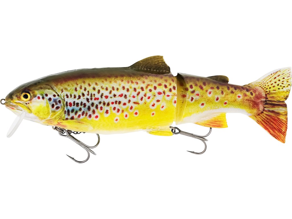 Westin Tommy The Trout