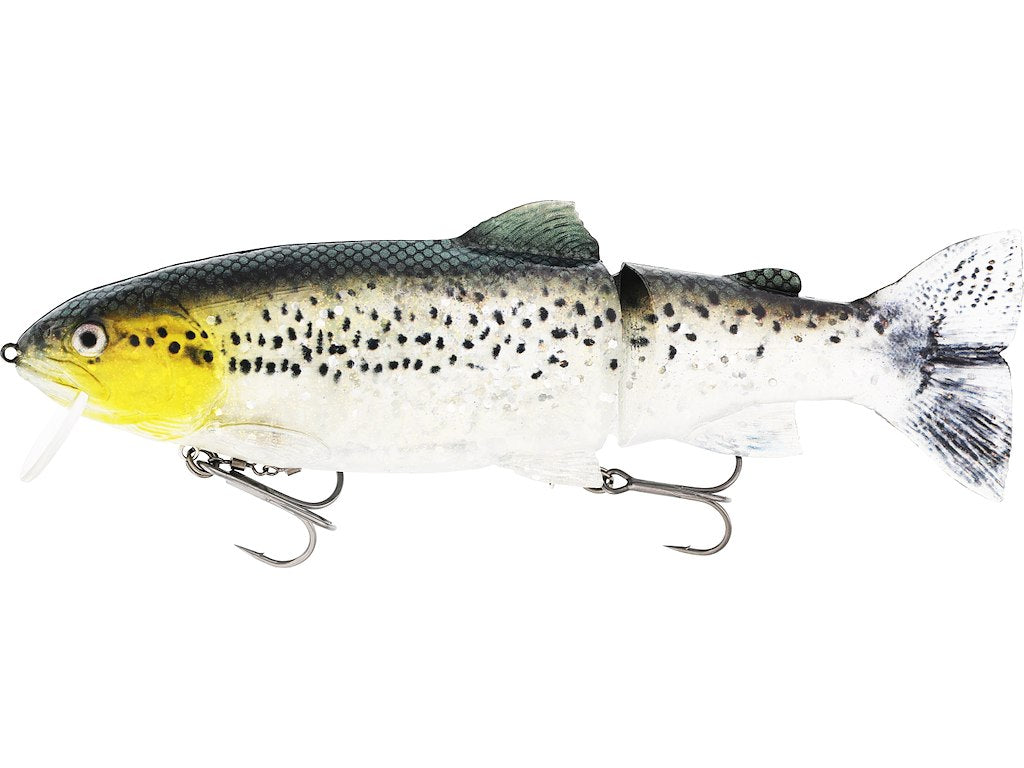Westin Tommy The Trout