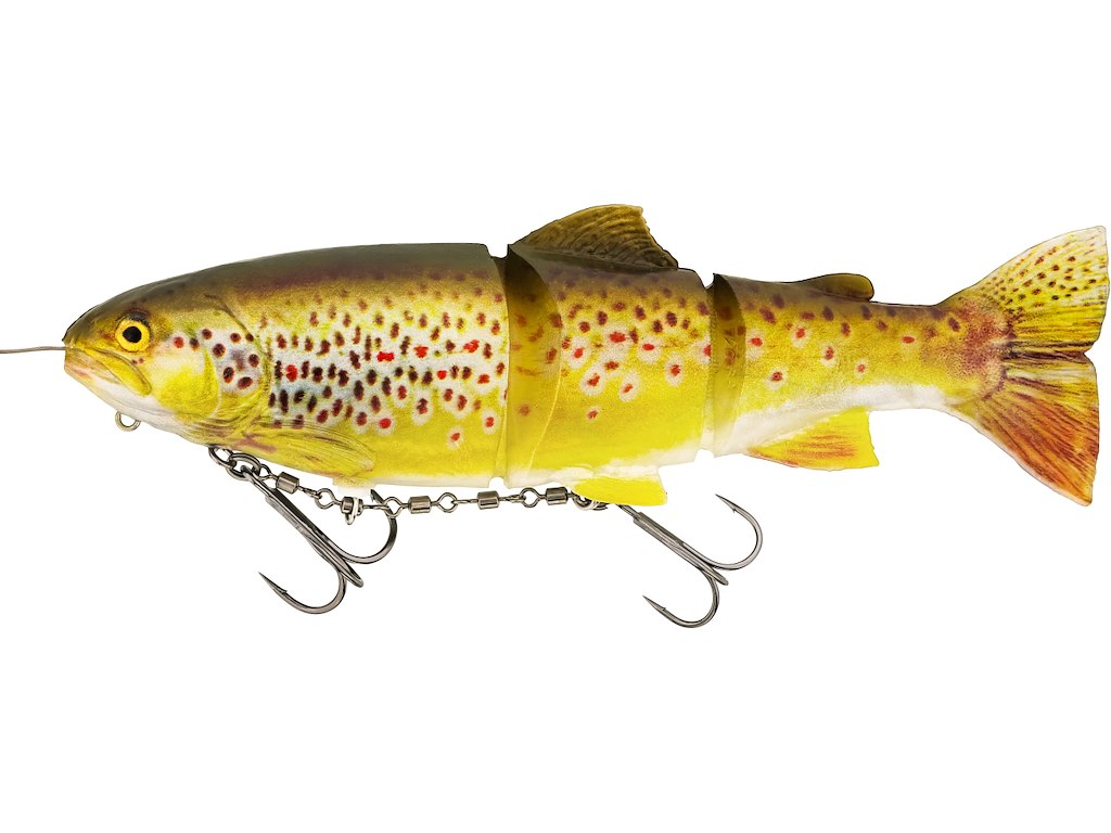 Westin Tommy The Trout Inline