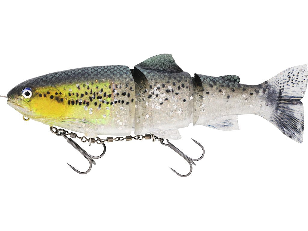 Westin Tommy The Trout Inline