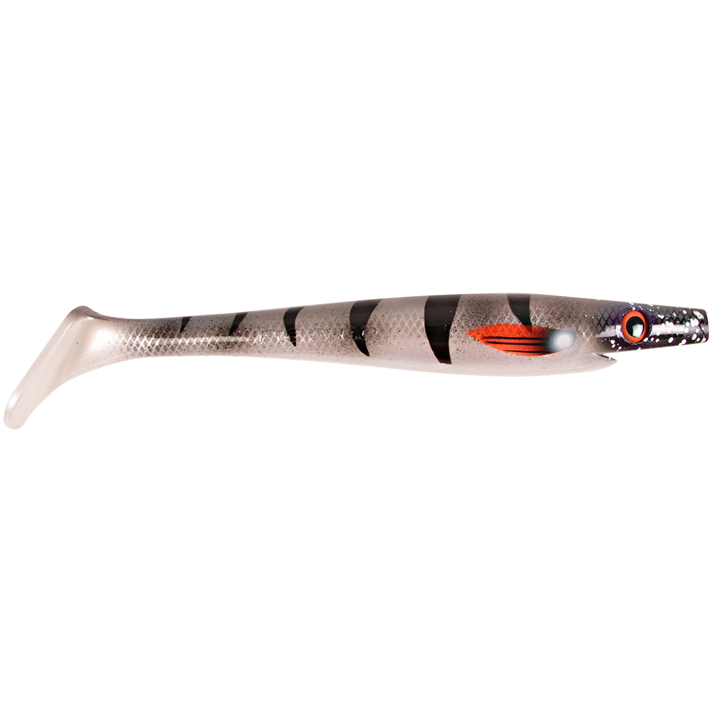 Giant Pig Shad