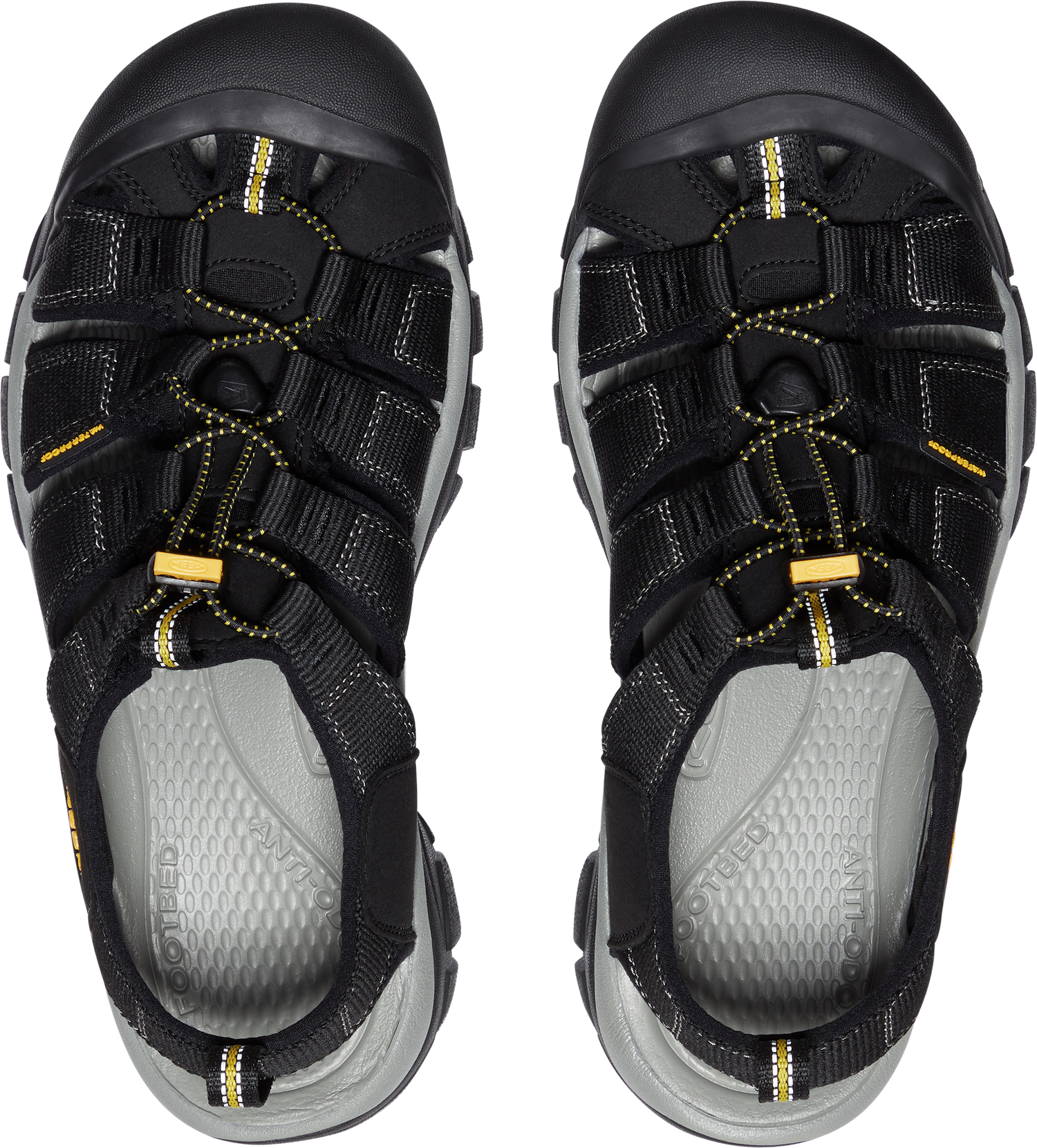 Newport H2 Men