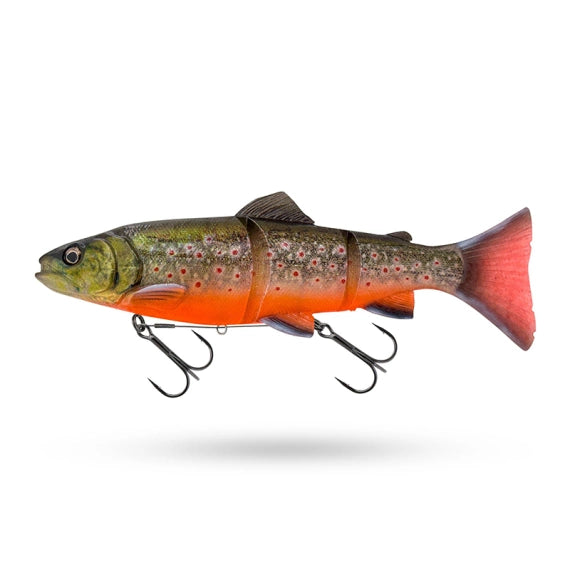 3D Line Thru Trout