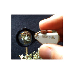 Botaniklupp 10x, 18 mm EN STL