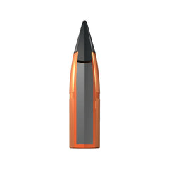 300 Blackout, Deer Season, 150 gr, 20 st/ask .300 AAC BLACKOUT / 20 ST