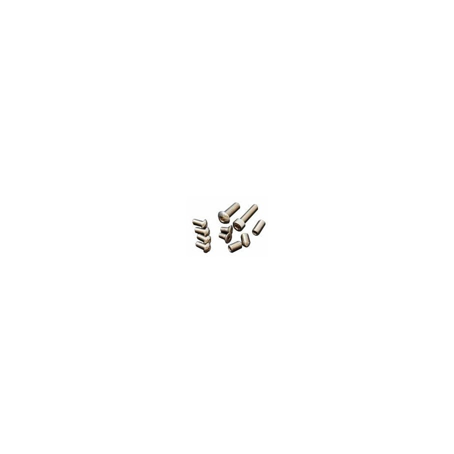 Race master holster screw set EN STL