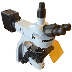 Fluorescensmikroskop iScope 40, 100, 400 och 1000x EN STL