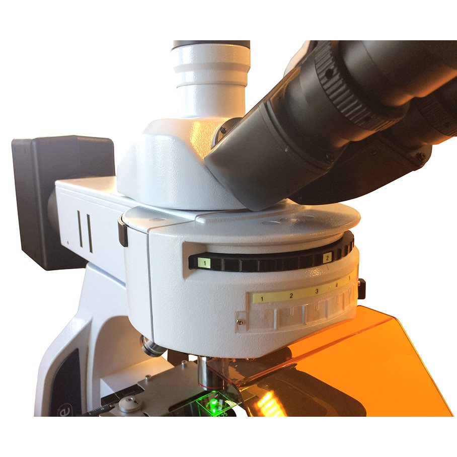 Fluorescensmikroskop iScope 40, 100, 400 och 1000x EN STL