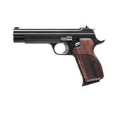 P210 Legend Black 9x19 mm