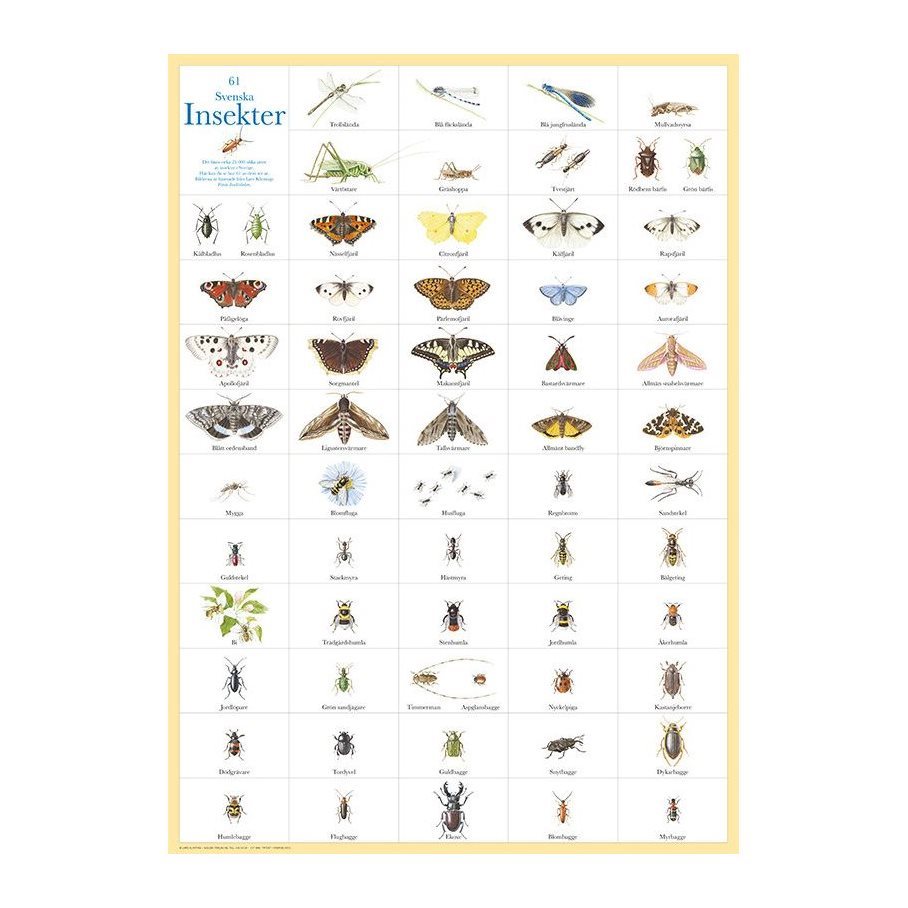 Insekter - Plansch EN STL