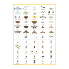 Insekter - Plansch EN STL