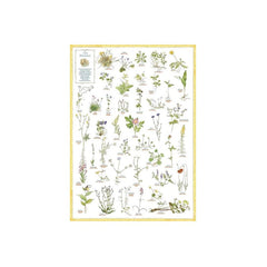 Blommor - Plansch EN STL