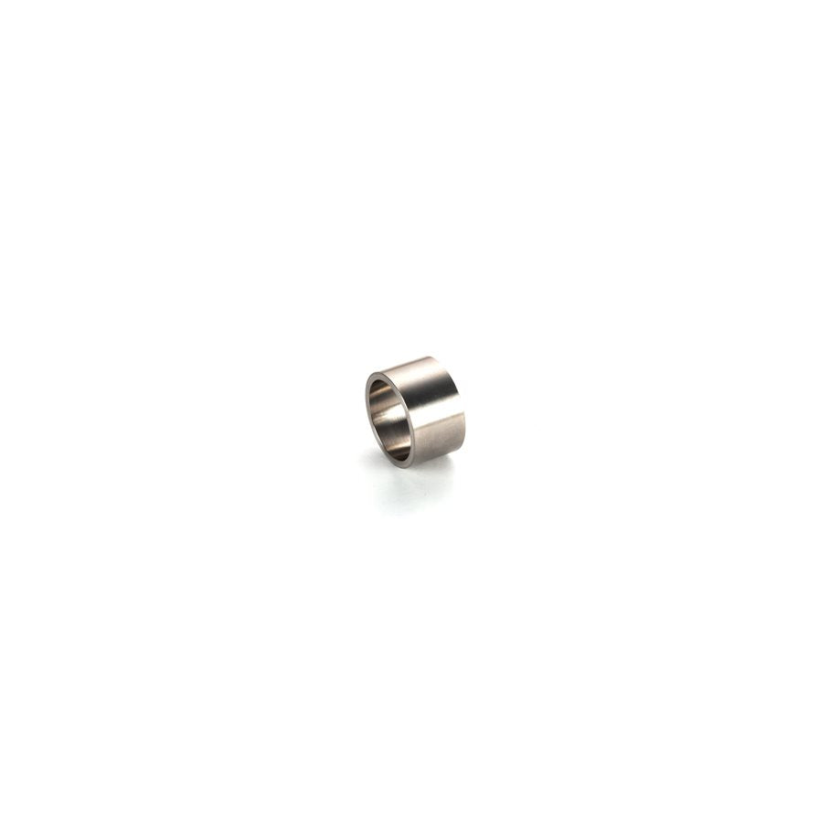 Silent Captured Spring Steel Weight EN STL