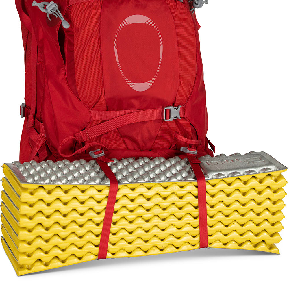Ariel Plus 70 CARNELIAN RED / WM/L
