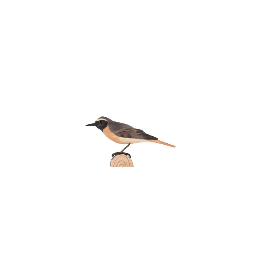 DecoBird Rödstjärt EN STL