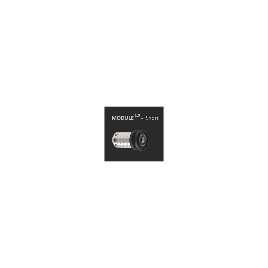 Modul 1.0 Short .22 (.222, .223)