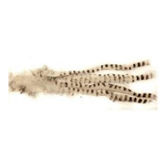 Barred Rabbit Strips WHITE / EN STL
