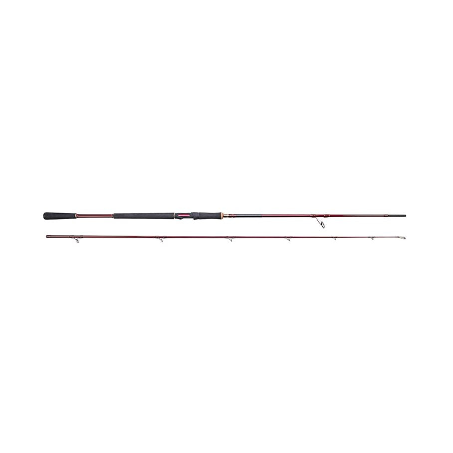 W6 Powercast-T Spinnspö 7'9