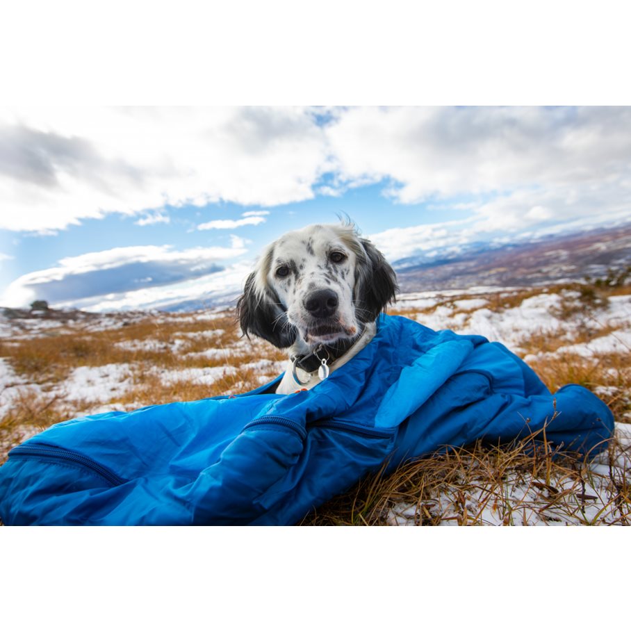 Ly Sovsäck för Hund BLÅ / L