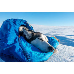 Ly Sovsäck för Hund BLÅ / L