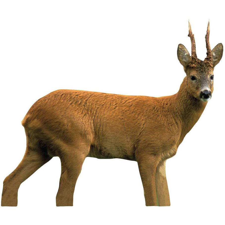 Bock HÖGER