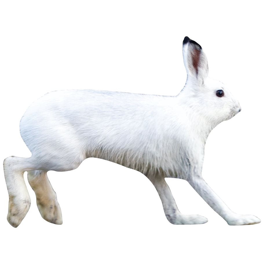 Hare HÖGER