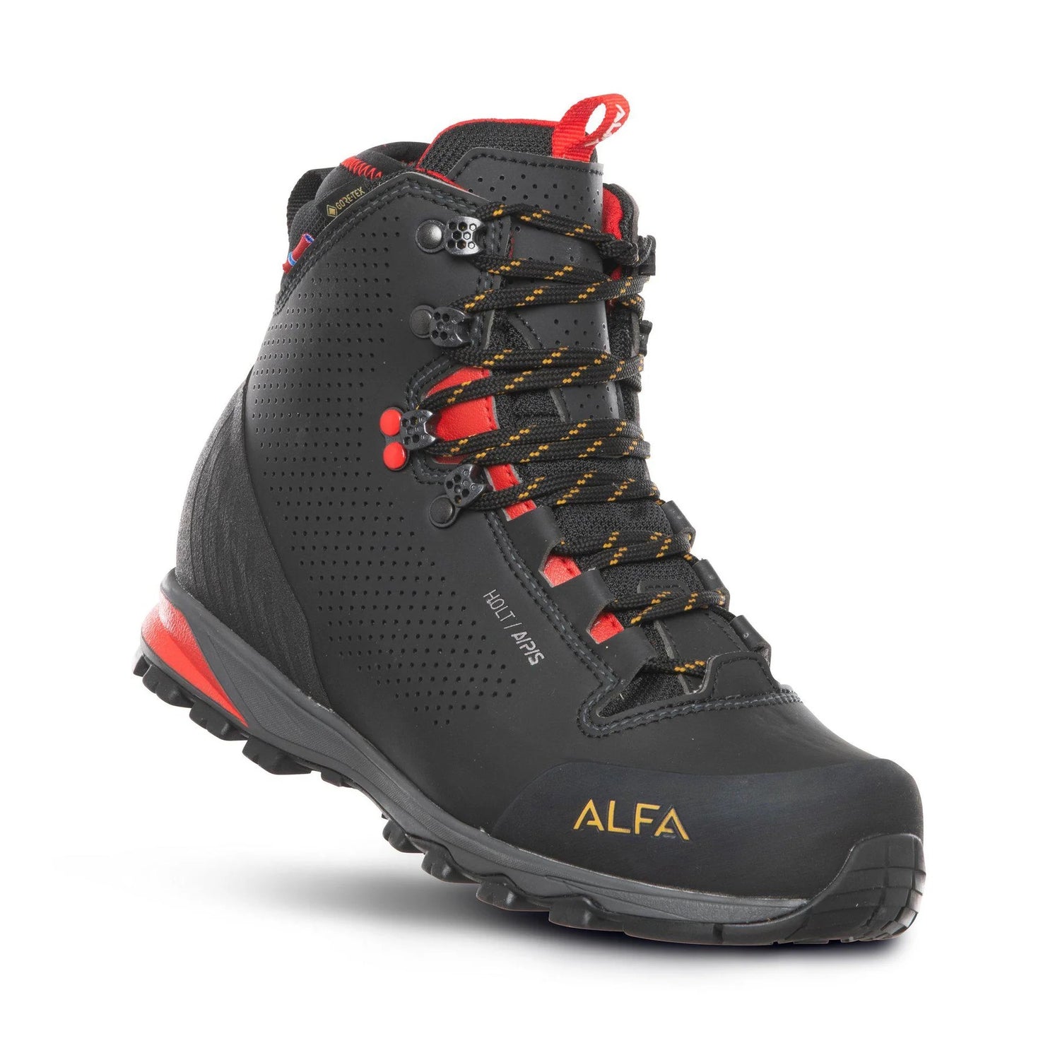 Holt GTX APS Women BLACK / 36