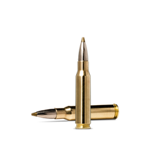 Evostrike .308 WIN / 139 GR / 9 G / 20 ST