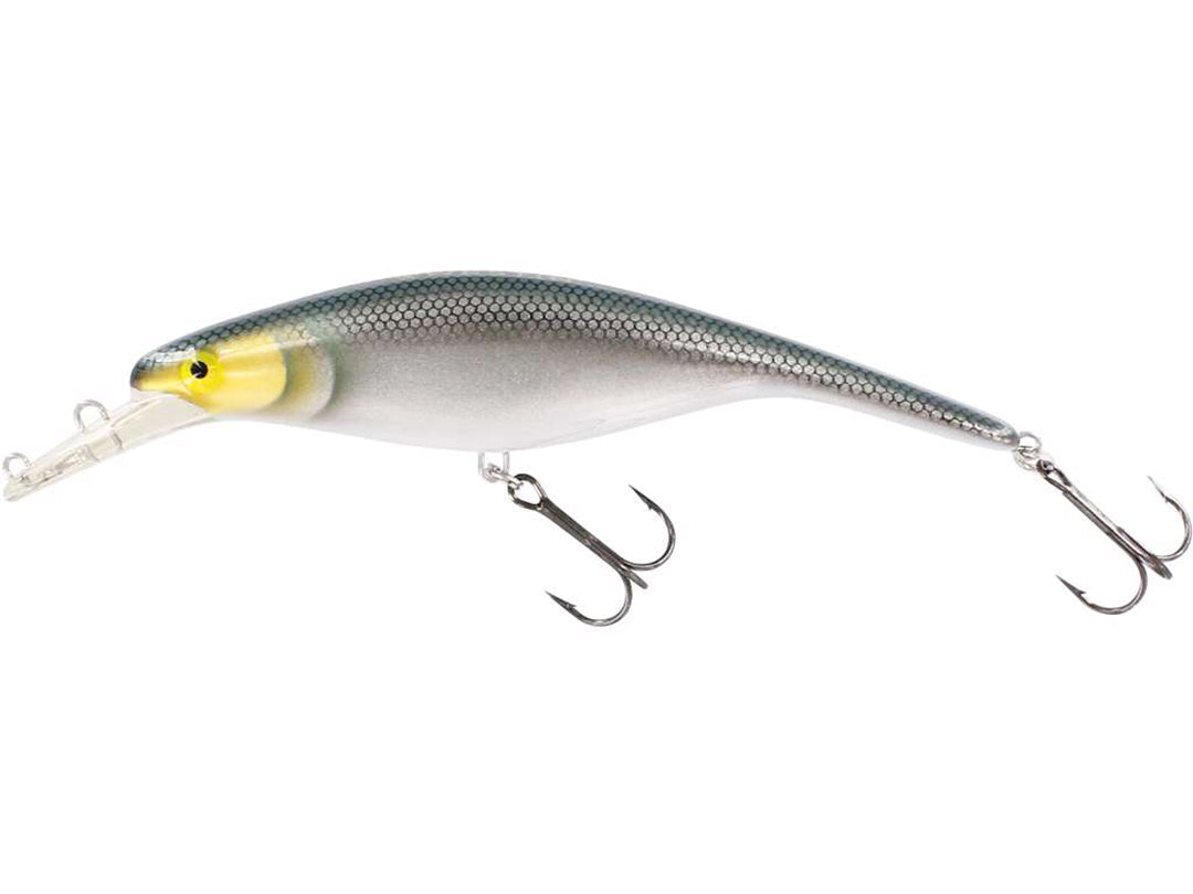 Platypus Crankbait STAMPED ROACH / 22 CM / 150 GRAM LOW FLOAT