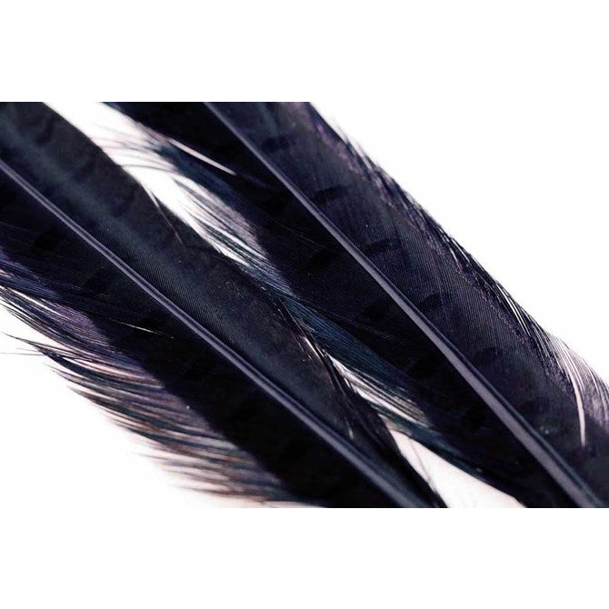 Ringneck Pheasant Tail 1 Pair BLACK / EN STL