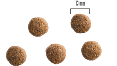Dog Adult All Breed Kyckling och Potatis, 2kg eller 10 kg SMAK KYCKLING OCH POTATIS & MÄNGD 2 KG