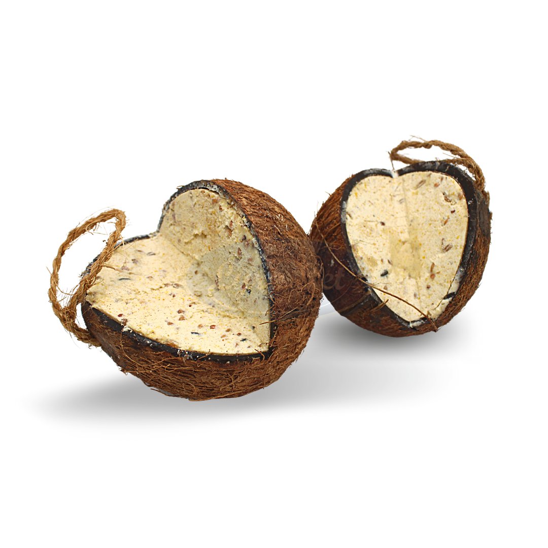 Fylld Kokosnöt V-Skuren 4 pack 4 STYCKE