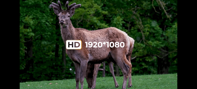 DNT Zulus HD 5-20x 1 ST