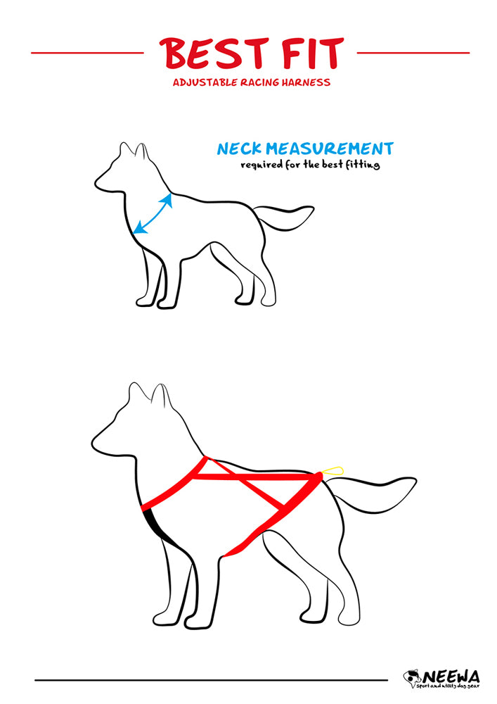 Adjustable Dragsele