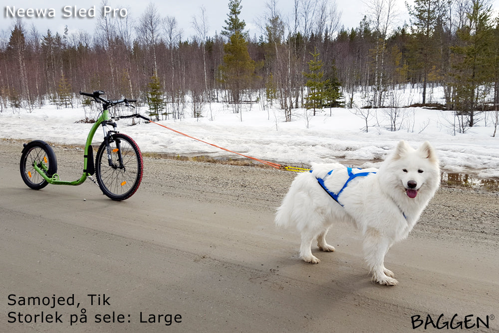 Sled Pro Dragsele