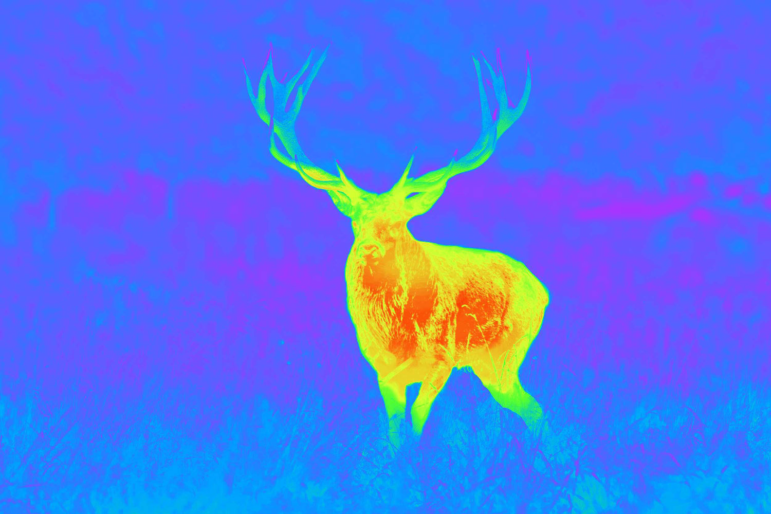 Spectra TI35 Thermial