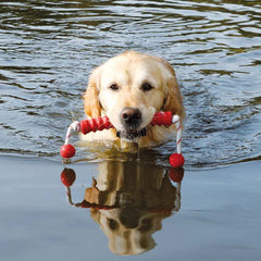 Dog Activity Mot-Long, flytande ONE SIZE