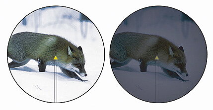 Trijicon Accupoint 5-20x50