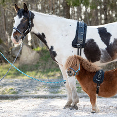 Selunderlägg Classic svart SVART / COB (M)