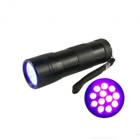 Amber Light Starter - 12 ONE SIZE