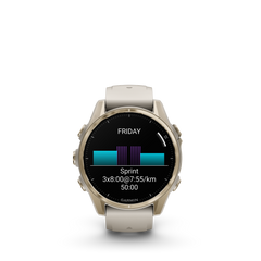 Fenix 8 AMOLED Sapphire 43 mm SOFT GOLD/FOG GRAY / ONE SIZE