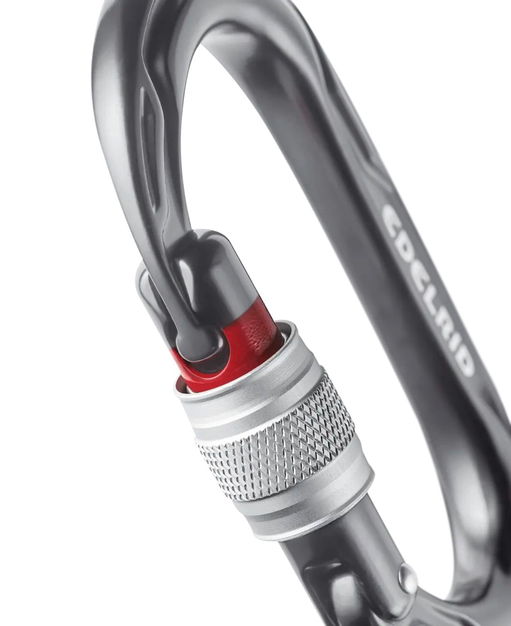 Kiwi Screw ANTHRACITE / ONE SIZE